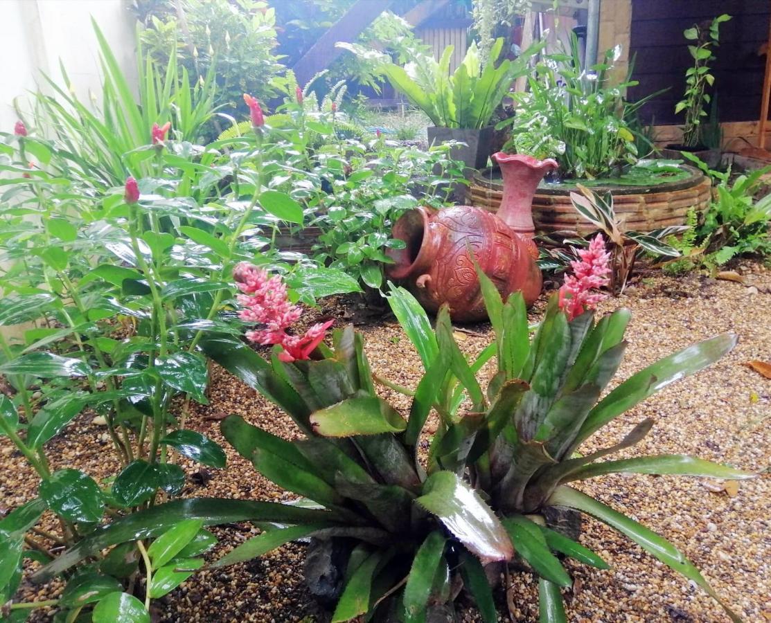 Homestay Chiangrai Chiang Rai Bagian luar foto
