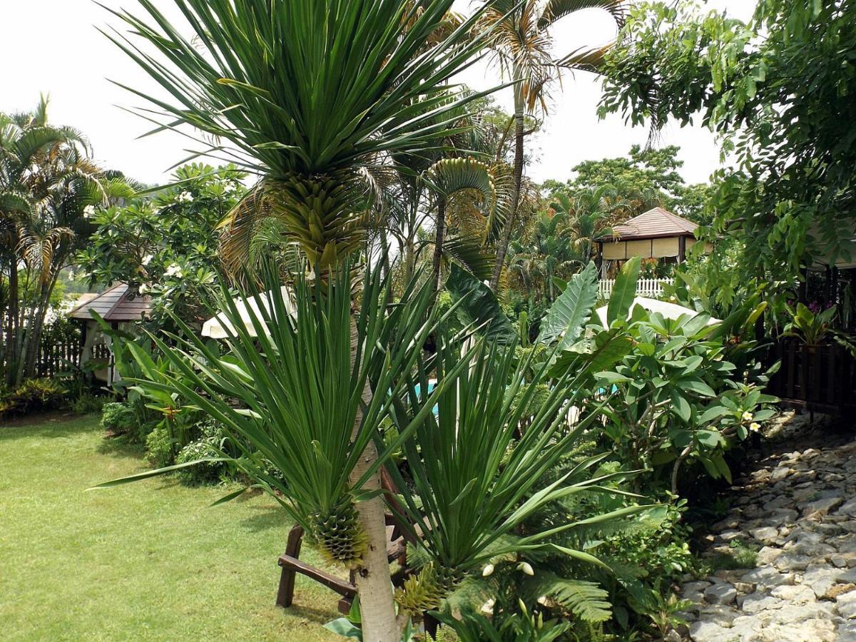Homestay Chiangrai Chiang Rai Bagian luar foto